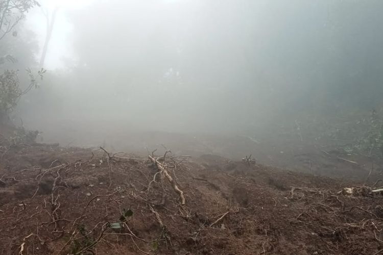 Longsor di ketinggian 1.800 mdpl di kawasan hutan lindung Gunung Slamet.
