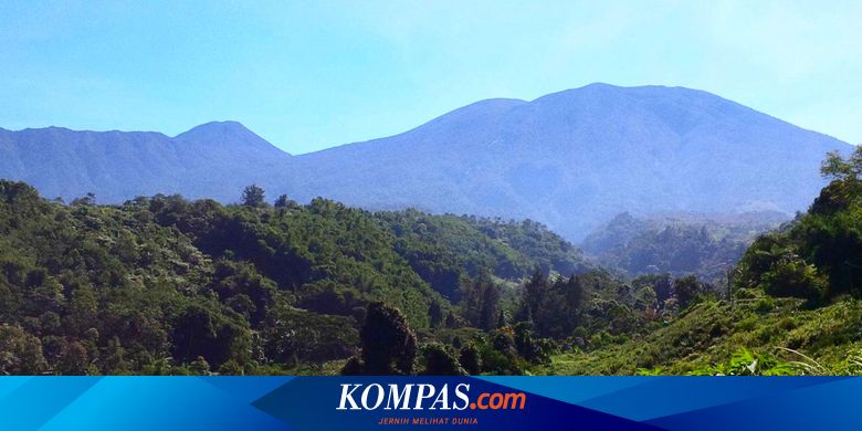 Puncak Kemarau Pendakian Gunung Gede Pangrango Ditutup Pada 12 21