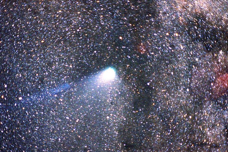 Komet Bintang  Berekor  di Tata Surya