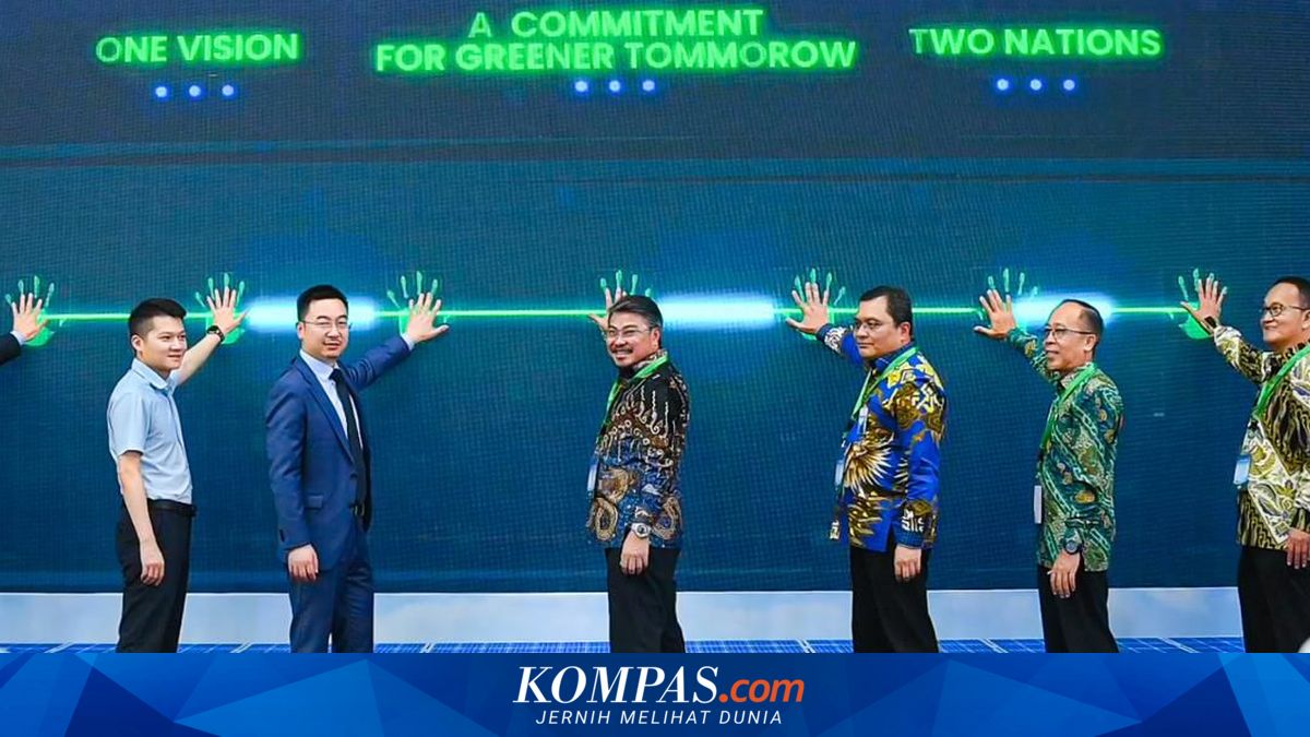 Pertamina NRE dan LONGi Luncurkan Proyek Manufaktur Panel Surya ...