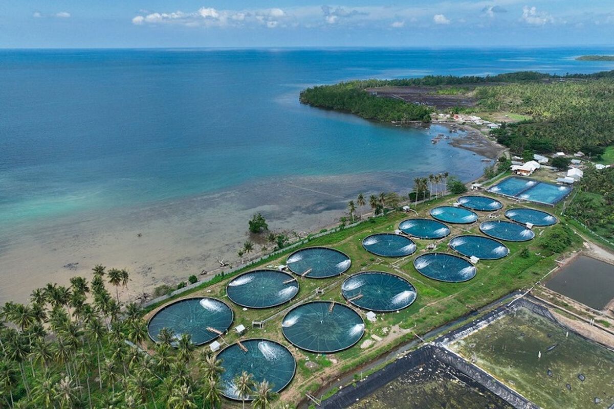 Tambak udang milik Karman Karim yang menggunakan metode kolam bioflok di Desa Buranga, Kecamatan Ampibabo Kabupaten Parigi Moutong, Sulawesi Tengah, Kamis (22/6/2023). Budidaya tambak udang modern yang intensif dan efisien tersebut dikembangkan dengan memanfaatkan teknologi modern untuk mencapai hasil produksi secara maksimal. 