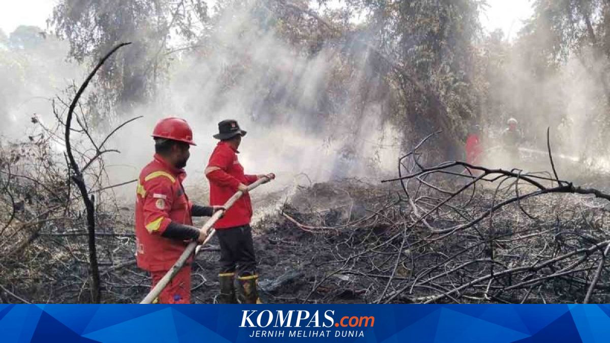 Karhutla 28 Hektare di Aceh Selatan, Manggala Agni Berhasil Dipadamkan 10,5 Hektare