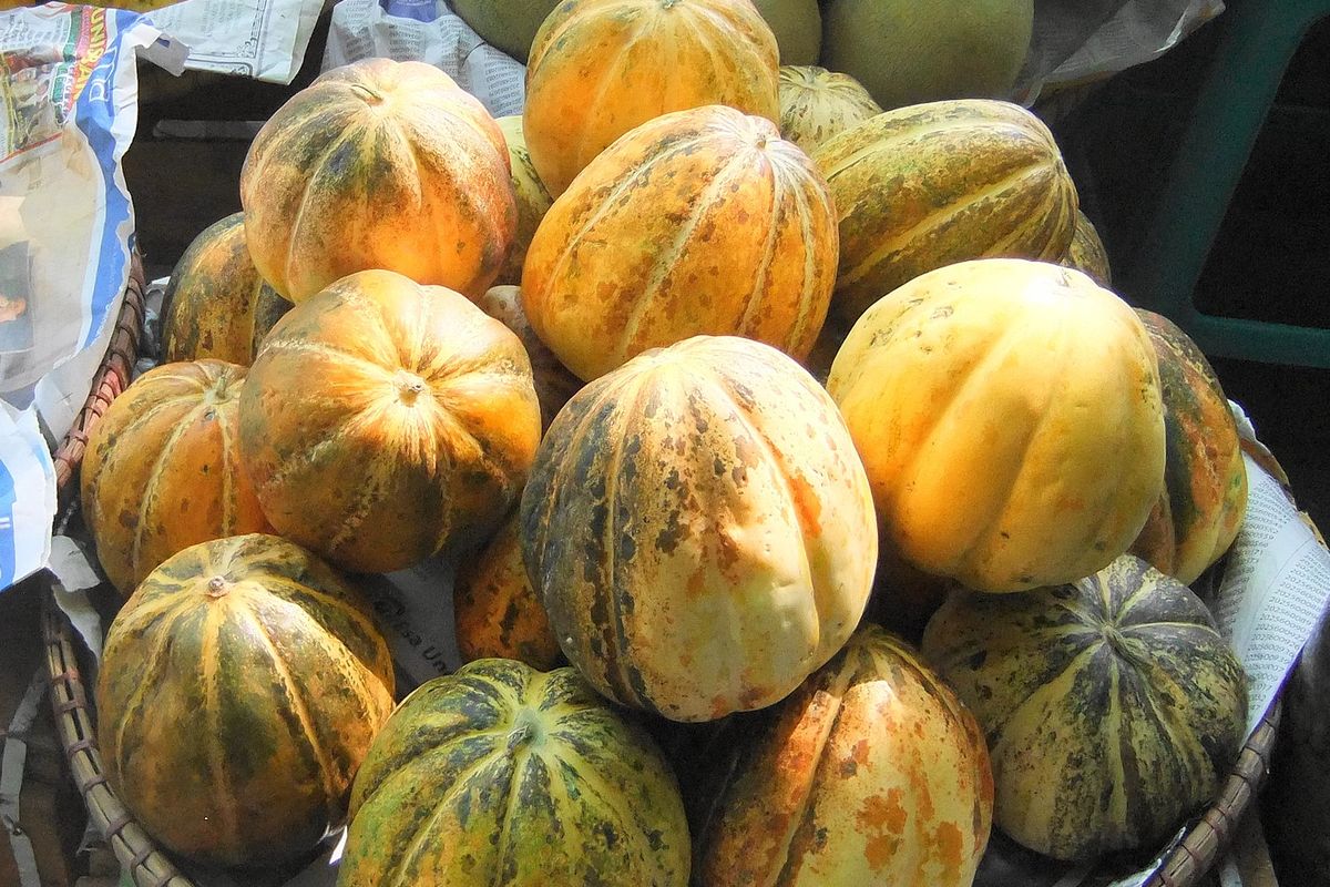 Ilustrasi buah blewah.