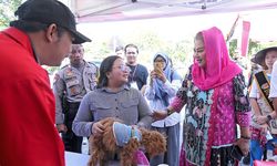 Agar Kucing dan Anjing Bebas Rabies, Pemkot Semarang Sediakan Vaksinasi dan Sterilisasi Gratis