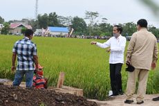 Jokowi Tinjau Food Estate di Kalteng Saat Puncak Mogok Kerja Buruh