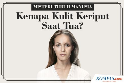 INFOGRAFIK: Misteri Tubuh Manusia, Kenapa Kulit Keriput Saat Kita Menua?