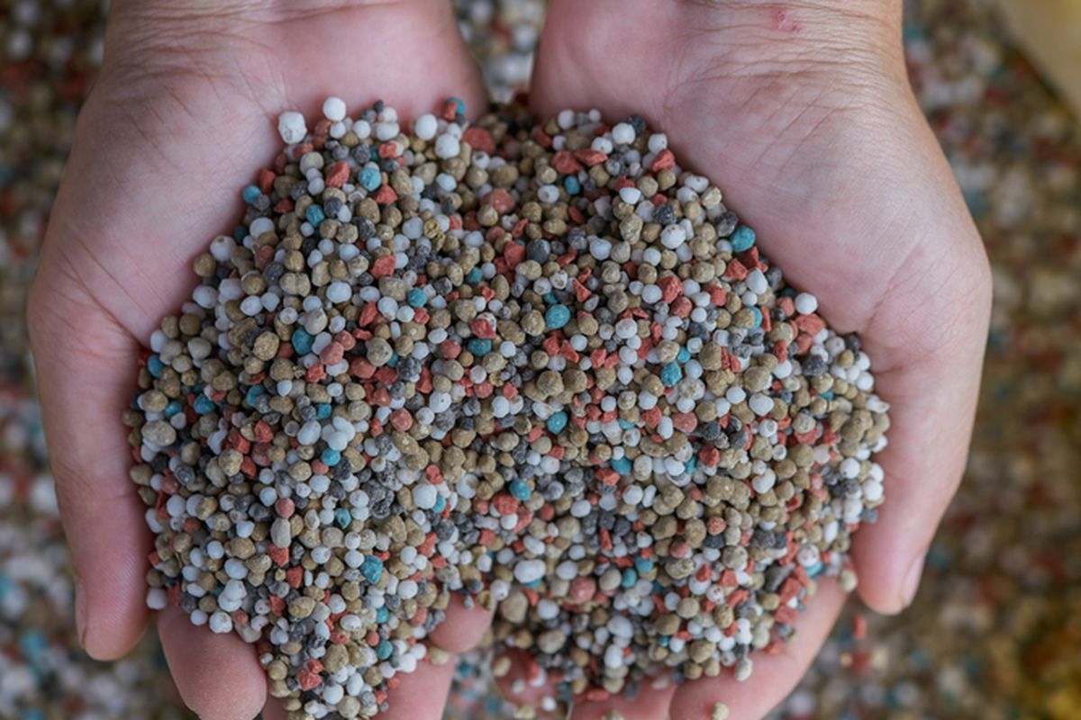 Ilustrasi pupuk NPK. 