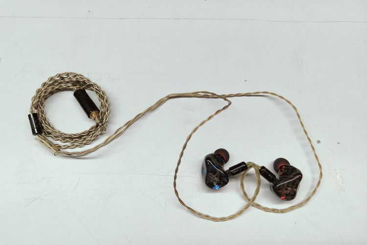 Produk dari Sidoarjo, Jawa Timur yang kini menjadi andalan banyak musisi papan atas Indonesia, Avara Custom, manufaktur Custom dan Universal In-Ear Monitor (IEM), sebuah perangkat earphone yang dicetak sesuai dengan bentuk telinga pemakainya.