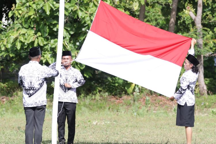 Deskripsi Pegawai Pemerintah dengan Kontrak Kerja (PPPK).