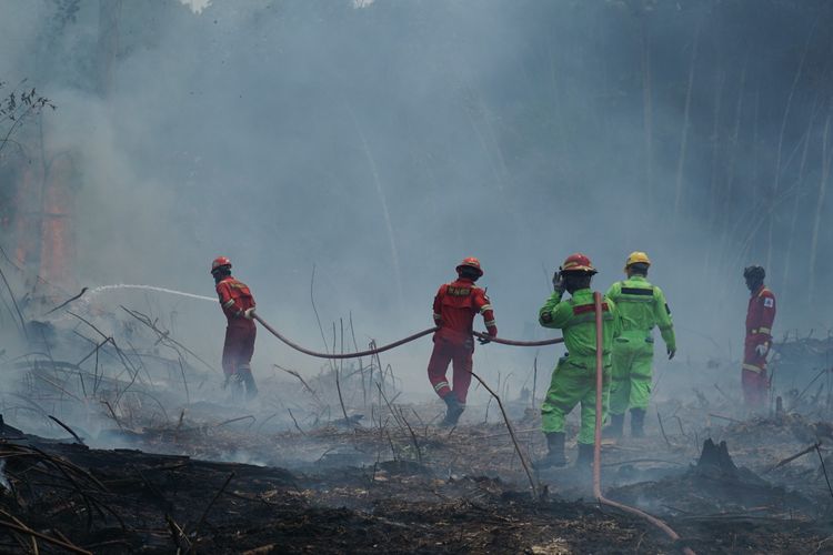 PT Berau Coal Kerahkan Tim Tangani Karhutla di Berau, Salurkan Rp 120 Juta