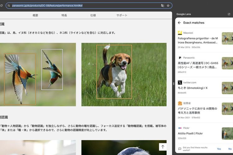 Foto burung (kiri) diketahui dipotret menggunakan kamera Nikon, sedangkan foto anjing (kanan) merupakan stock photo yang populer. Kedua foto ini bukan dipotret menggunakan kamera Lumix S9.