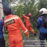 Angin Kencang di Jakarta, BPBD Minta Warga Waspada Pohon Tumbang
