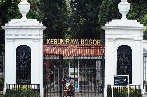 Kebun Raya Bogor Buka Kembali, Pesan Tiket Online Dulu