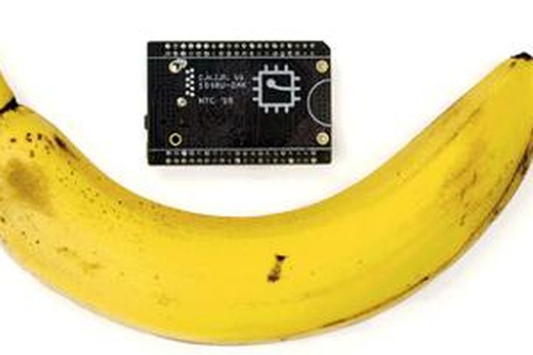Perbandingan dimensi komputer mini CHIP dengan pisang.
