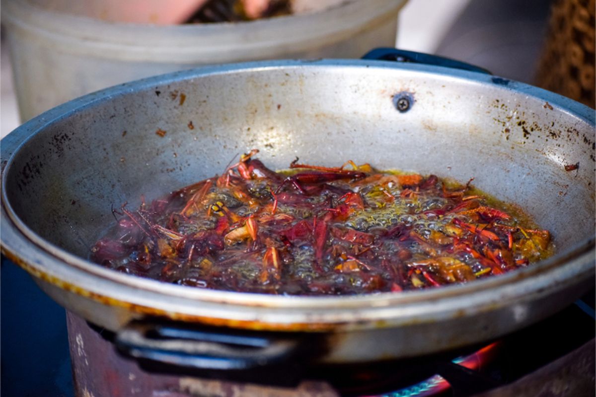 Hidangan walang goreng khas Kabupaten Gunungkidul, Provinsi Daerah Istimewa Yogyakarta