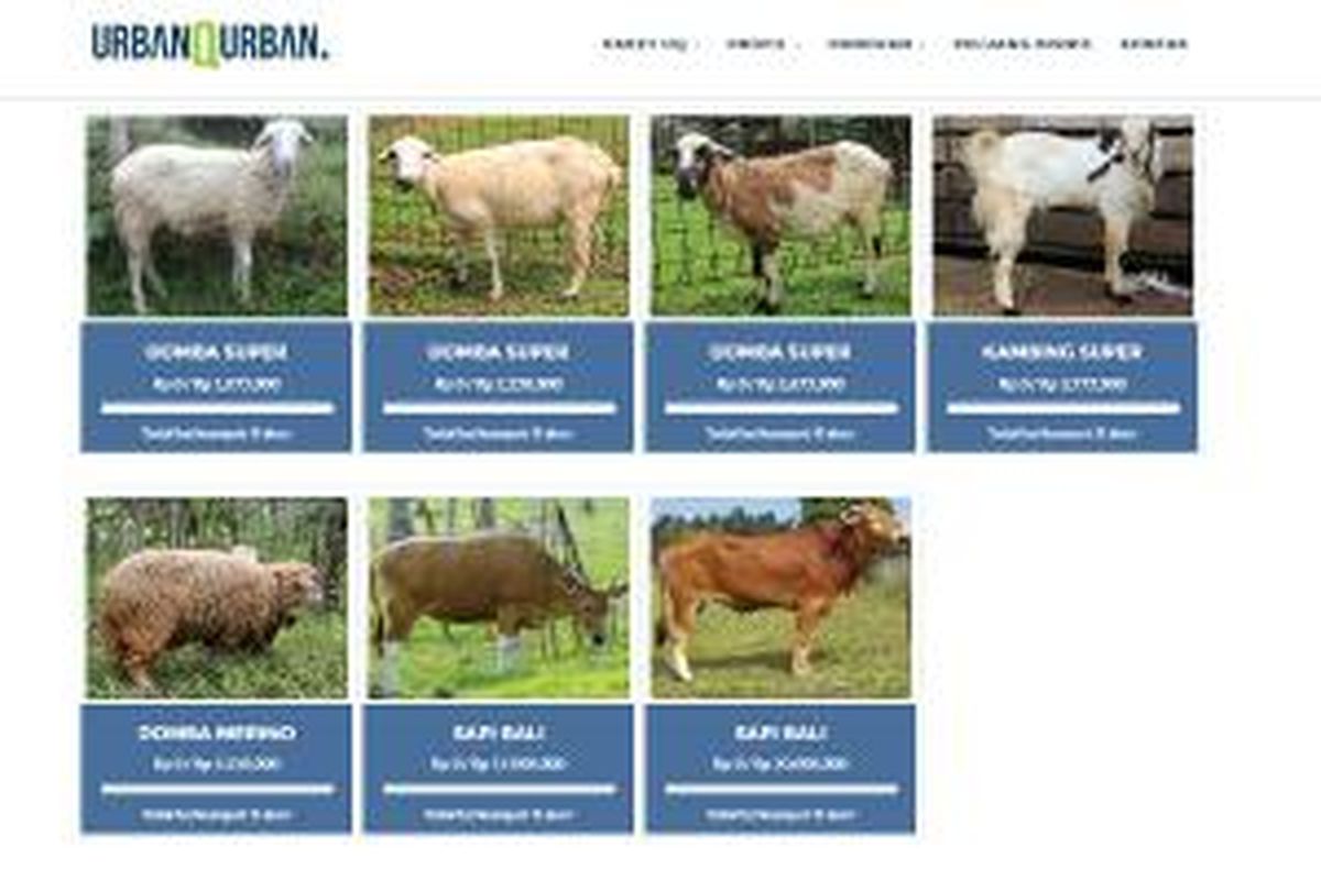 Fitur crowdfunding daging hewan ternak di situs UrbanQurban.com.