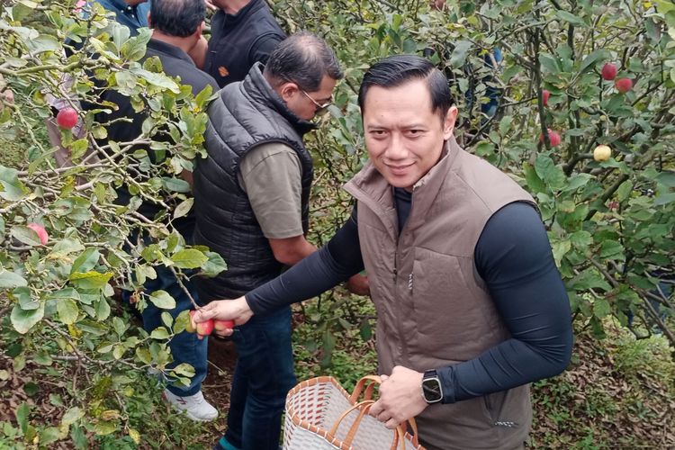 Ketua Umum Partai Demokrat, Agus Harimurti Yudhoyono (AHY) menerima banyak keluhan dari para petani apel saat berkunjung ke Desa Tulungrejo, Kota Batu, Jawa Timur pada Senin (6/2/2023). 