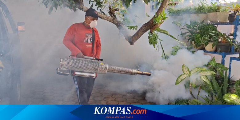 Tulungagung DHF Deaths: 4 Children Lost in 2 Months