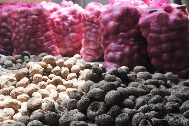 Hasil panen tanaman porang di Kabupaten Cianjur, Jawa Barat.