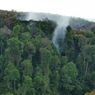 Titik Api Ada Lagi di Hutan Riau, TNI: Tak Bisa Kami Padamkan dari Darat, Terhalang Jurang