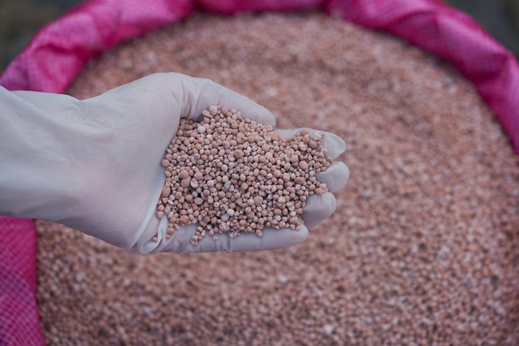 Ilustrasi pupuk NPK. 