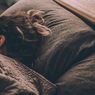 Mengapa Orang yang Kurang Tidur Mudah Sakit?