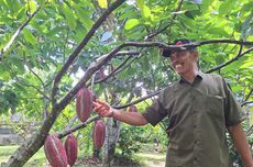 Indonesia Vs Mali di FIFA Match Day 2025, Tayang di Mana dan Live Jam Berapa?