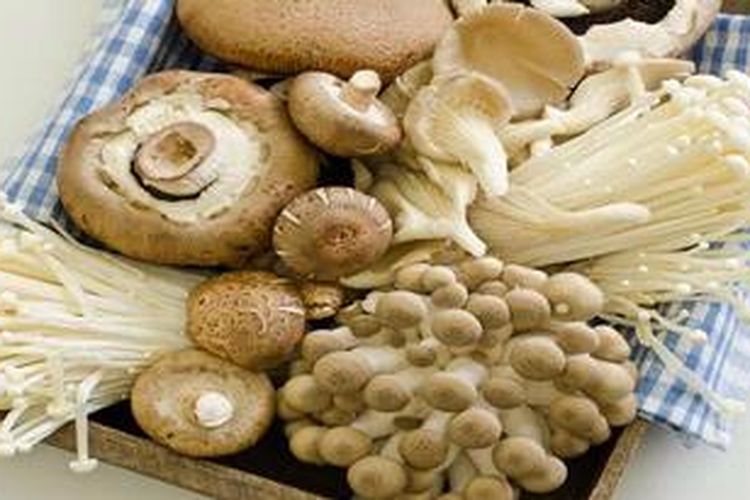 Agar tetap segar,jamur ini harus disimpan dalam kantong kertas, handuk,atau kain yang kering.