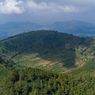 Wisata Gunung Blego via Magetan, Ada Telaga Tanpa Air di Puncaknya