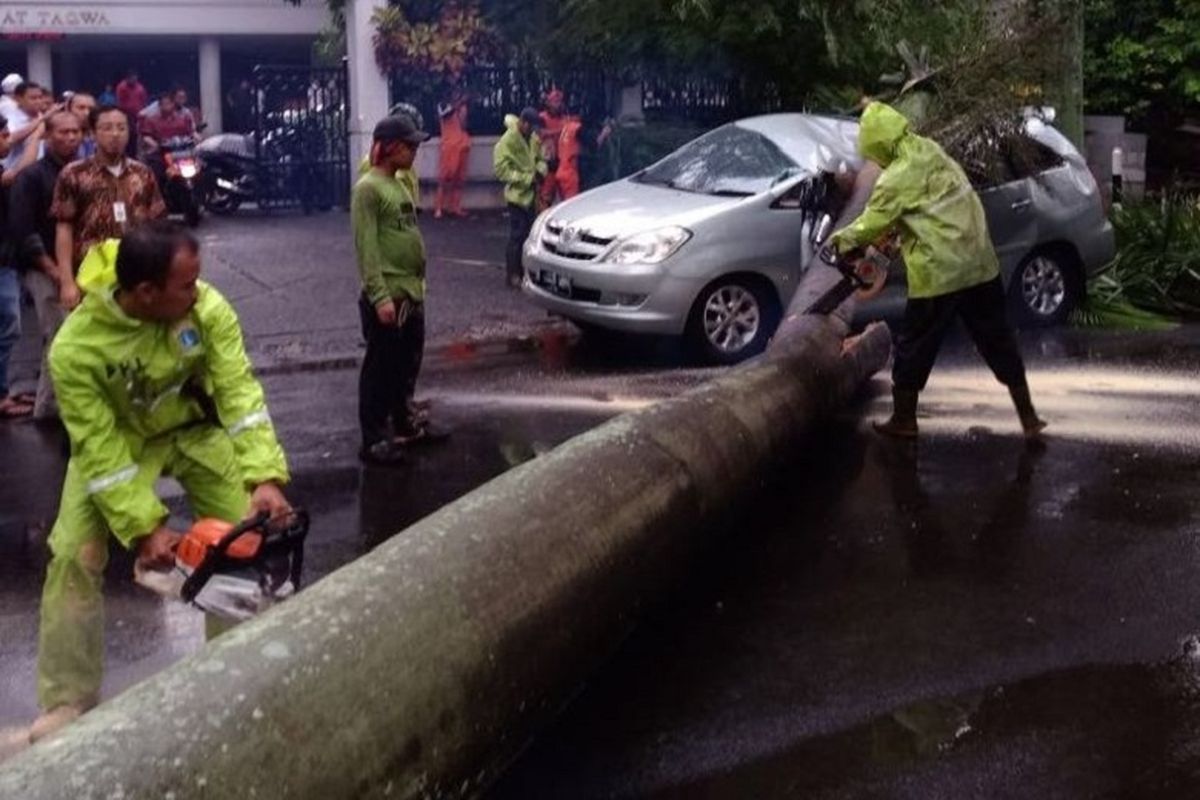 pohon tumbang timpa sebuah mobil di Jalan Sriwijaya, Jakarta Selatan, Kamis (3/5/2018).