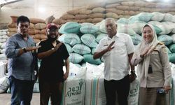 Cengkeh Hasil Produksi Petani Sulsel Diekspor ke Pasar Timur Tengah