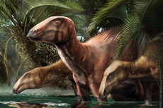 Dinosaurus Predator Ini Ditemukan di Argentina Disebut Megaraptor Terbesar di Dunia