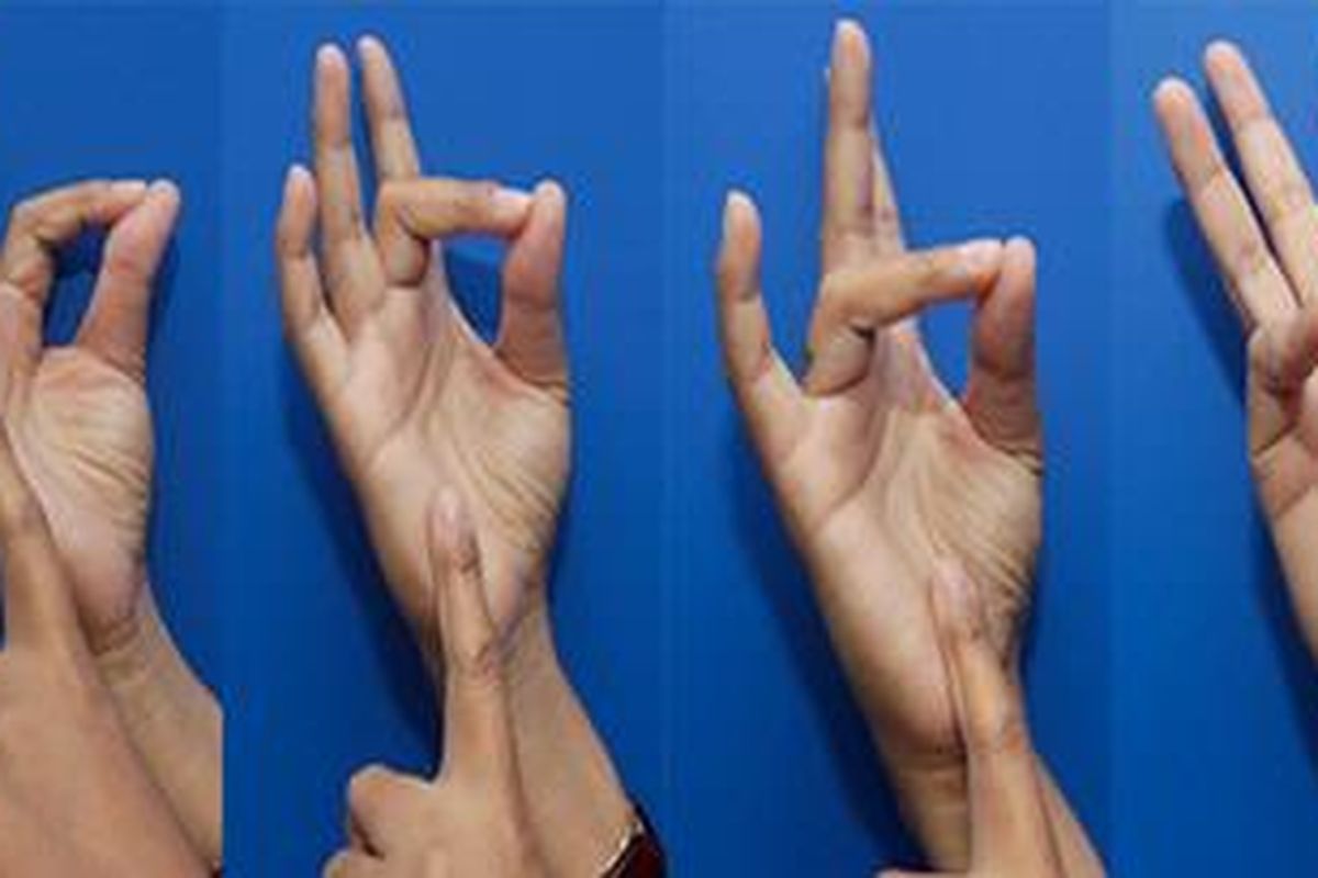 Dari kiri ke kanan: mengukur tingkat kematangan mentah, mentah-sedang, matang sedang, dan matang sempurna.