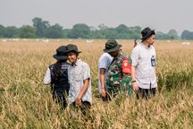 Serapan Gabah Kering di Karawang Lebih dari 95.000 Ton, Bulog: Ini Kebahagiaan Para Petani