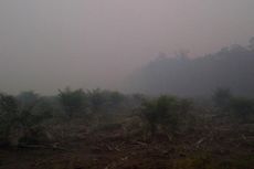 JPIK Kalteng: Pemda Tak Maksimal Bantu Warga untuk Padamkan Kebakaran Hutan