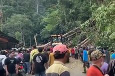 Badai Landa Bengkulu, Suami Istri Tewas Mobilnya Tertimpa Pohon Besar, Ini Ceritanya