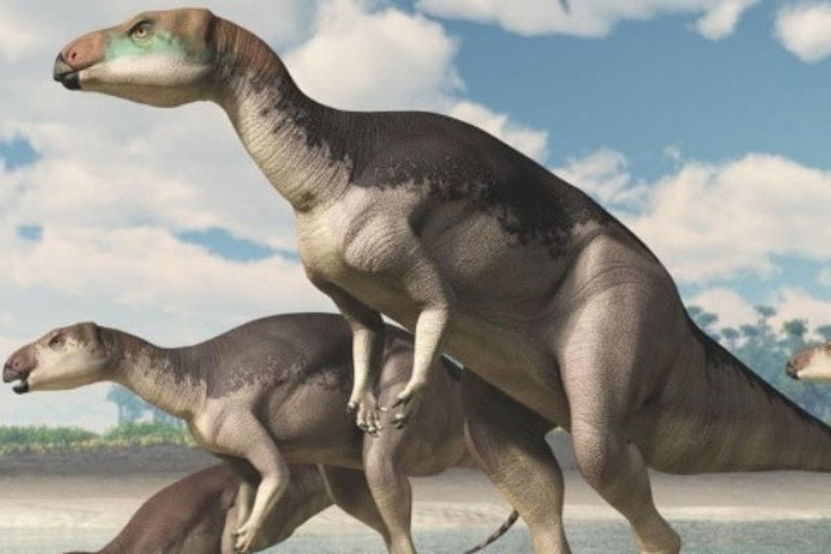Ilustrasi dinosaurus Australia, Fostoria dhimbangunmal.
