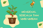 Mengenal Serealia dan Umbi-umbian