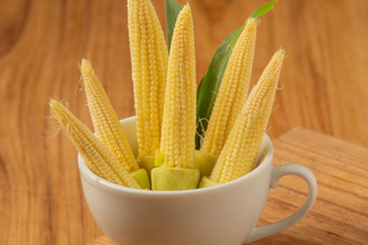 Jagung putren, baby corn