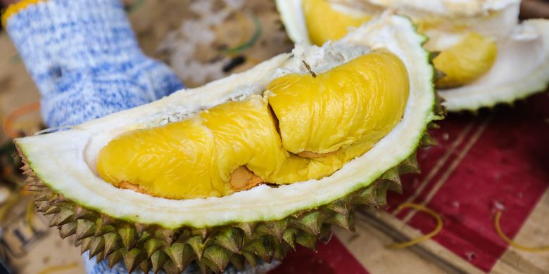 Gambar durian musang king