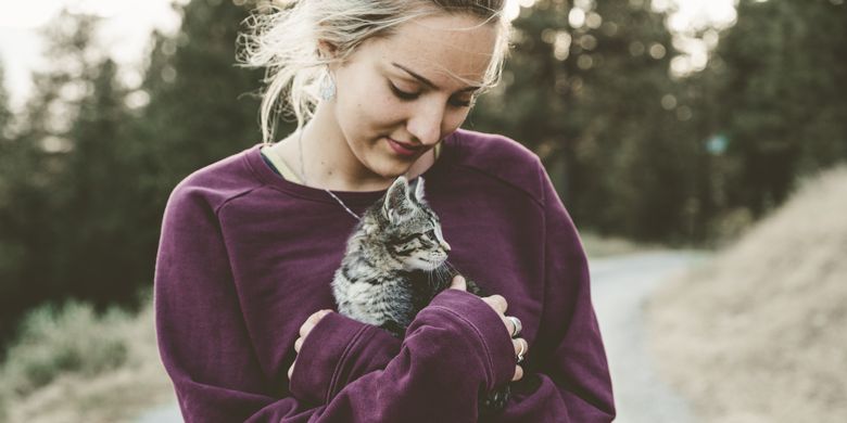 cara menunjukkan kasih sayang kepada kucing.