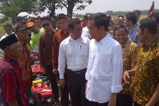 Capai Swasembada, Jokowi Rencanakan Lumbung Padi di Luar Jawa 