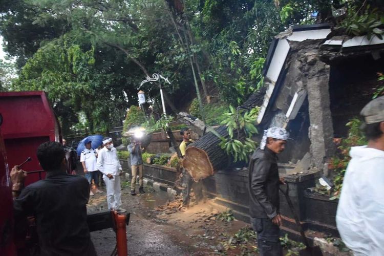 Wakil Ketua Komisi IV DPR RI saat meninjau penanganan pohon tumbang di Jalan Pemuda/Ciganea, Purwakarta, Selasa (2/11/2021).