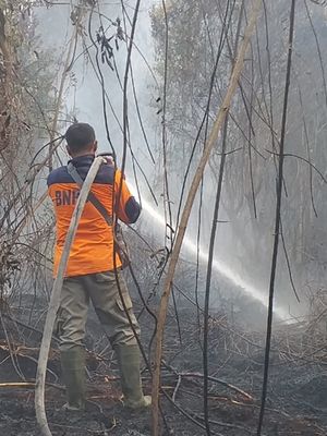 Petugas BPBD Riau memadamkan api karhutla di Desa Rimbo Panjang, Kabupaten Kampar, Riau, Selasa (17/9/2019).