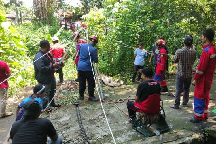 Proses evakuasi sapi seberat 2 kuintal milik warga Dukuh Sawahan, Desa Pomah, Kecamatan Tulung, Klaten, Jawa Tengah karena terjatuh ke jurang dan alur sungai sedalam 15 meter.