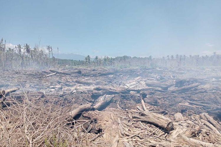 Camat Sawang Bingung Pindahkan Tumpukan Kayu Sisa Banjir yang Terbakar di Aceh Utara