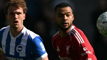 Kata-kata Arne Slot Usai Skor Brighton Vs Liverpool 2-1