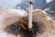 Bagaimana Rokok Bisa Sebabkan Kanker di Seluruh Tubuh?