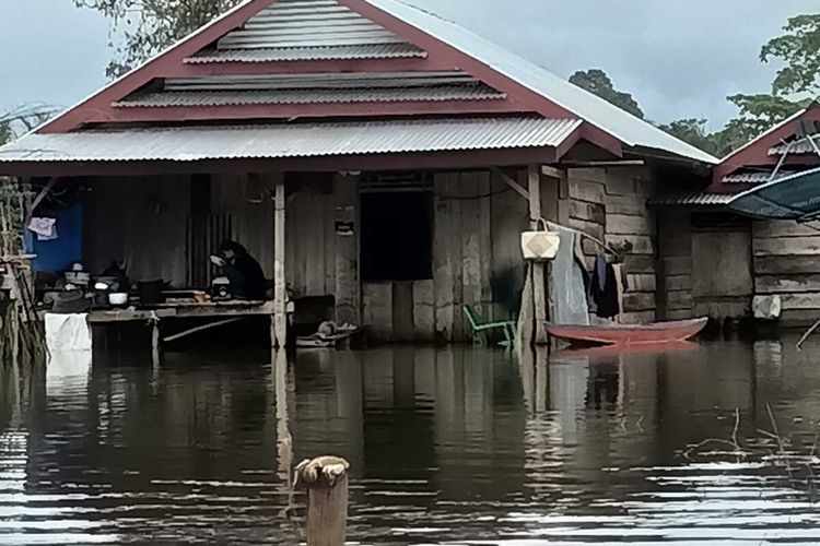 Ratusan rumah warga di Desa Lawewe, Kecamatan Baebunta Selatan, Luwu Utara, Sulawesi Selatan terendam banjir akibat tanggul sungai Rongkong jebol sepanjang 80 meter, Jumat (24/5/2024)