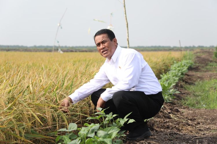 Menteri Pertanian (Mentan) Andi Amran Sulaiman.